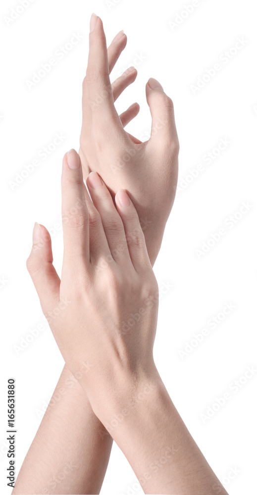 beauty woman hand isolate is on white background with clipping path beauty woman hand isolate is on white background with clipping path