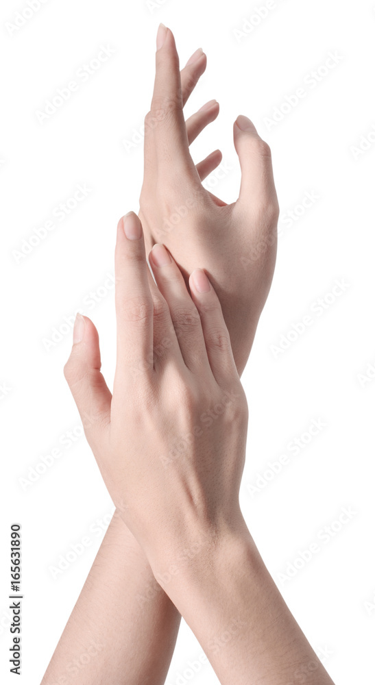 beauty woman hand isolate is on white background with clipping path beauty woman hand isolate is on white background with clipping path