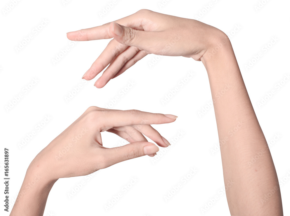 beauty woman hand isolate is on white background with clipping path beauty woman hand isolate is on white background with clipping path