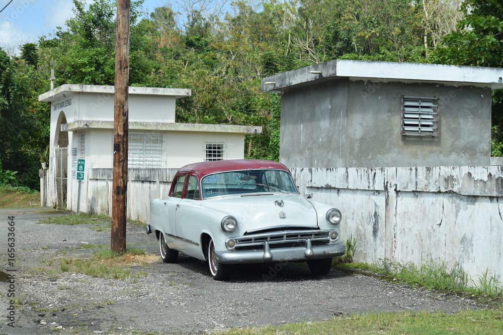 Fototapeta premium Car Arecibo