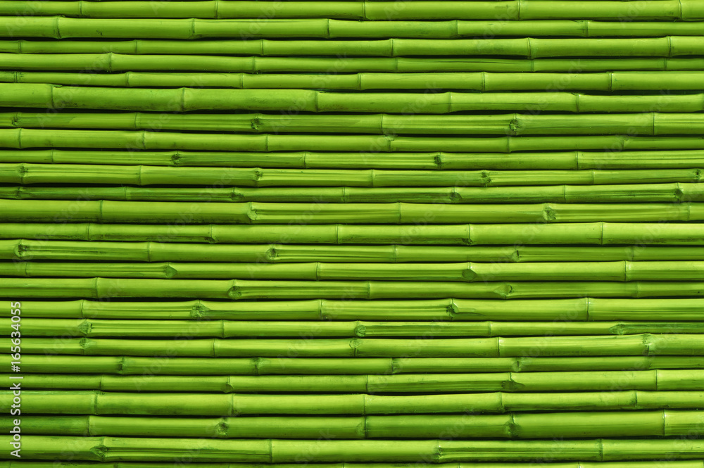 Fototapeta Zielony bambusa ogrodzenia tło i tekstura