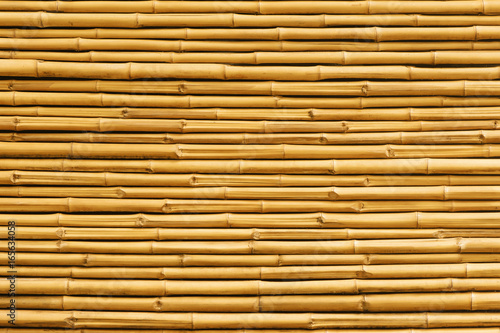 Yellow bamboo fence background and texture