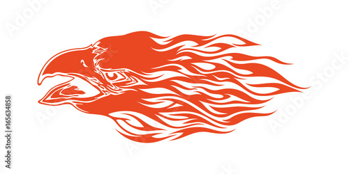 Eagle Head Flame Vector Template Design