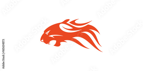 Tiger Head Flame Vector Design