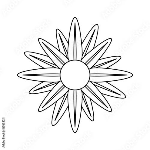 isolated cute flower icon vector illustration graphic design