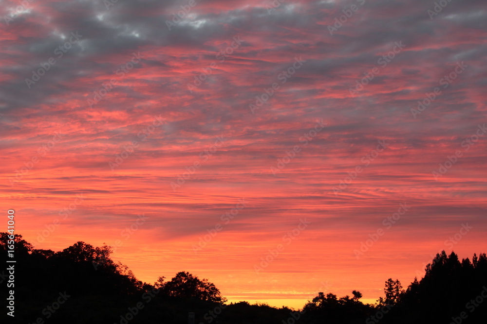 Fototapeta premium 夕焼け空