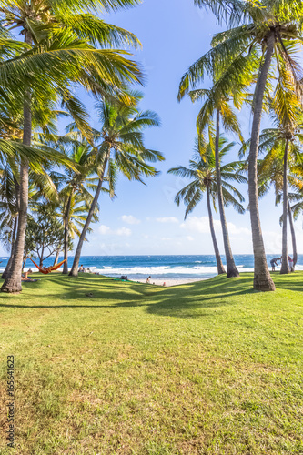 plage de Grand Anse sous les cocotiers, île de la Réunion 