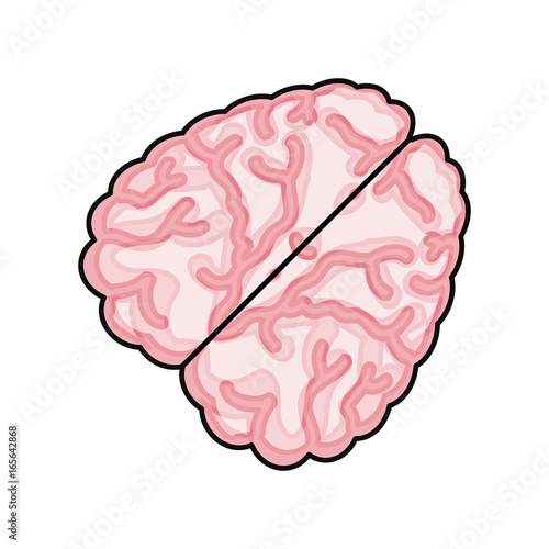 Human brain symbol