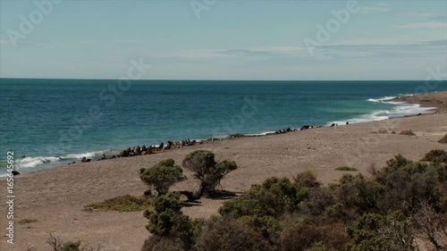 Wallpaper Mural Wide view of the beach at Ponte Norte on the Valdez Peninbsular of Argentina. The beach is famed for its orcas and sea lions Torontodigital.ca