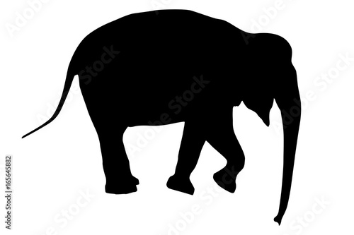 Elephant. Black silhouette