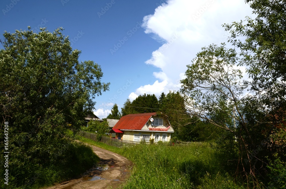 Obraz premium Goritsy (Russie)