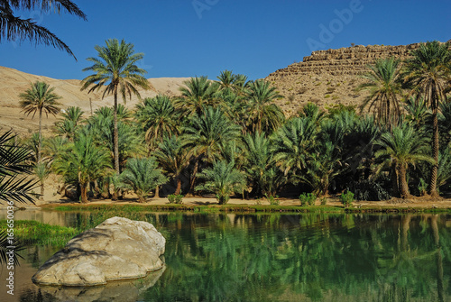 Oman Wadi riverbed photo