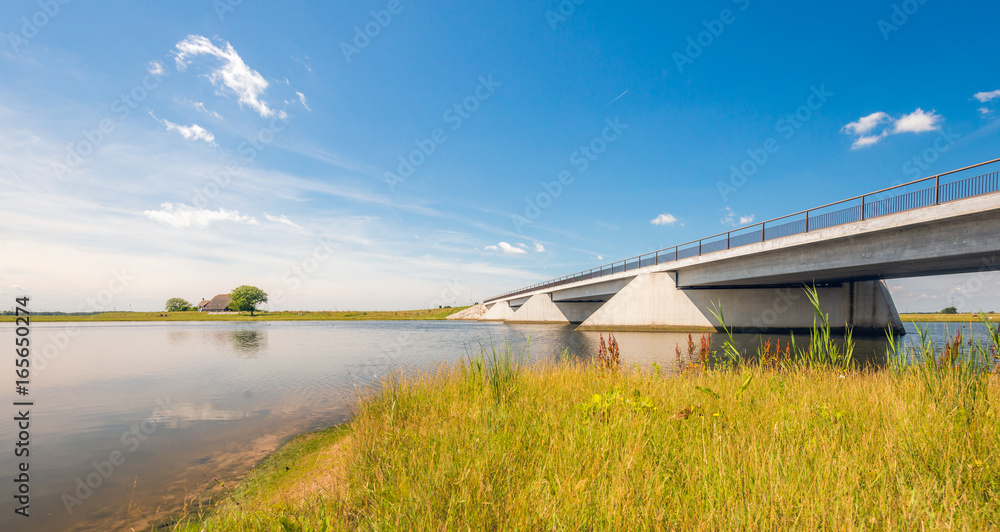 Modern bridge in a Dutch nature reserve