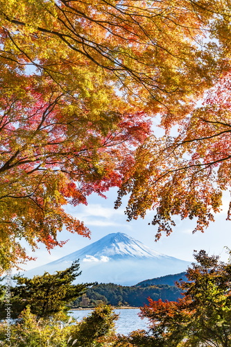 富士山と紅葉、山梨県河口湖にて