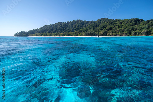 Crystal clear waters of the Andaman Sea,Similan National Park,ta chai island,phuket,thailand. © satit