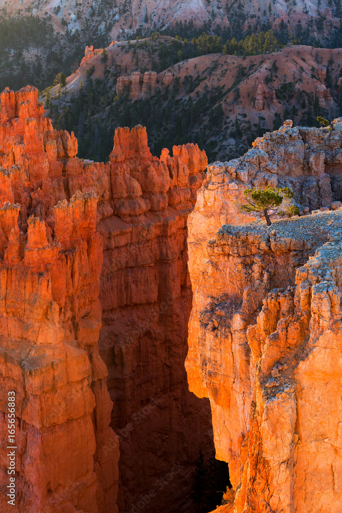 view of stunning red sandstone hoodoos in Bryce Canyon National Park in Utah, USA