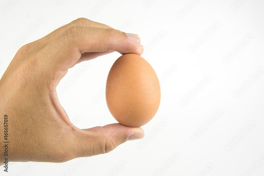 Man hand hold egg on white background with clipping path. Man hand hold egg on white background with clipping path.