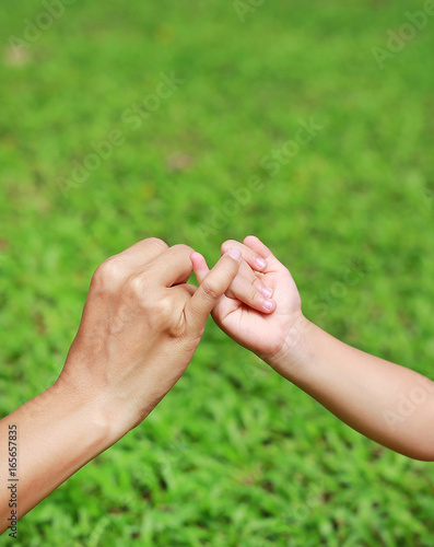 Mother and daughter making a pinkie promise in the green grass garden. © zilvergolf