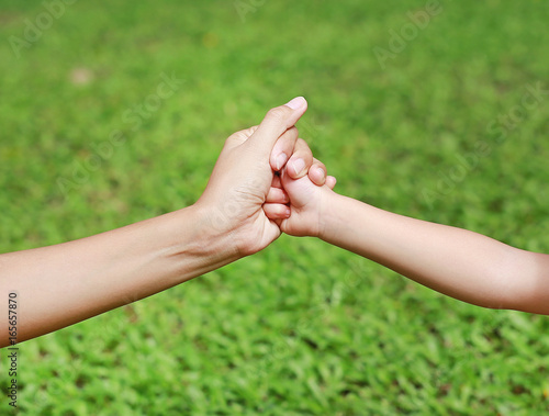 Hands of mother and daughter holding each other. Summer park in background. © zilvergolf