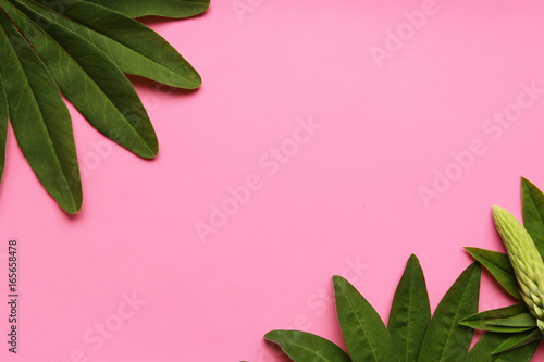 Green exotic leaves on a pink background