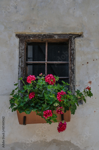 Old window with flower pot
