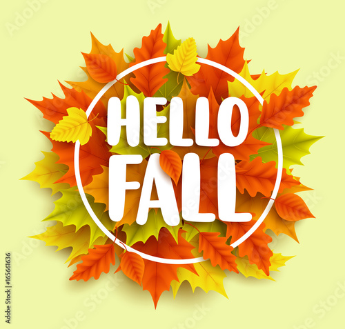 Hello fall text vector banner design with yellow and orange autumn maple leaves and circle frame in green background for seasonal marketing promotions. Vector illustration.
