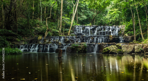 Tree Steps Water Fall