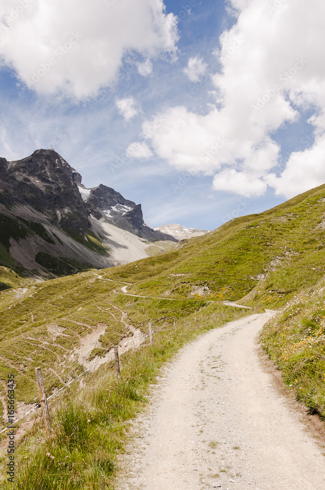 St. Moritz, Engadin, Oberengadin, Alpen, Schweizer Berge, Wanderweg, via Engiadina, Signalbahn, Suvretta, Julierpass, Piz Julier, Graubünden, Sommer, Schweiz St. Moritz, Engadin, Oberengadin, Alpen, Schweizer Berge, Wanderweg, via Engiadina, Signalbahn, Suvretta, Julierpass, Piz Julier, Graubünden, Sommer, Schweiz