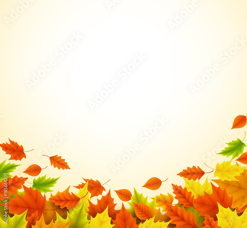 Fall background for autumn season with collection of orange and yellow maple leaves falling and with empty or blank space for text. Vector illustration.
