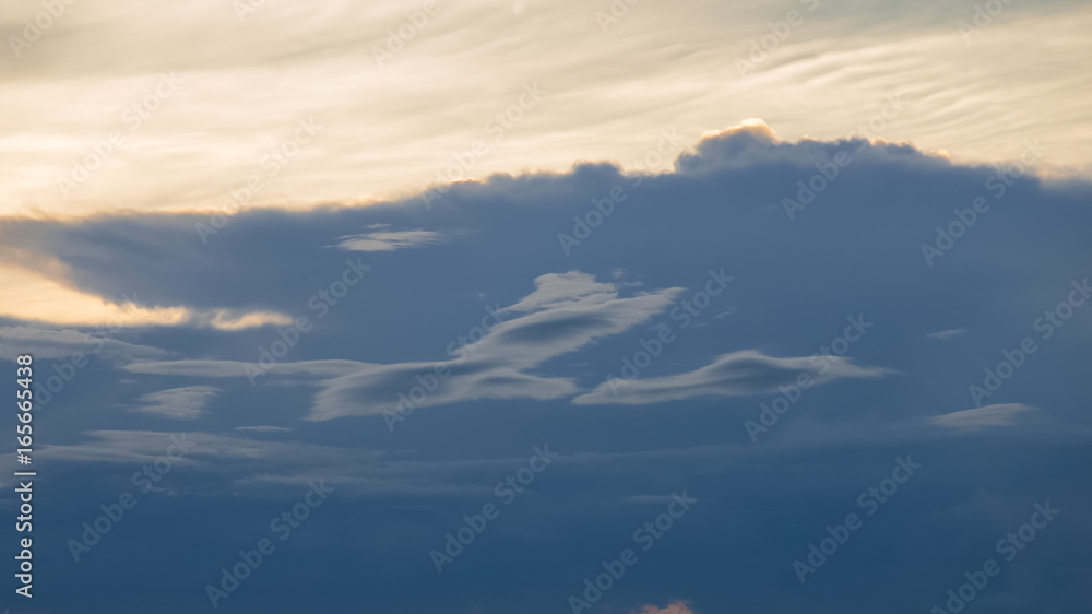 Bird shape clouds on blue sky