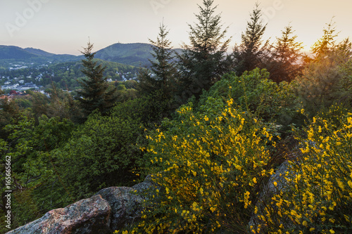 Hills around Baden-Baden photo