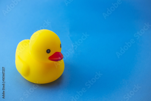 Rubber yellow duck isolated on the blue paper written Summer Day