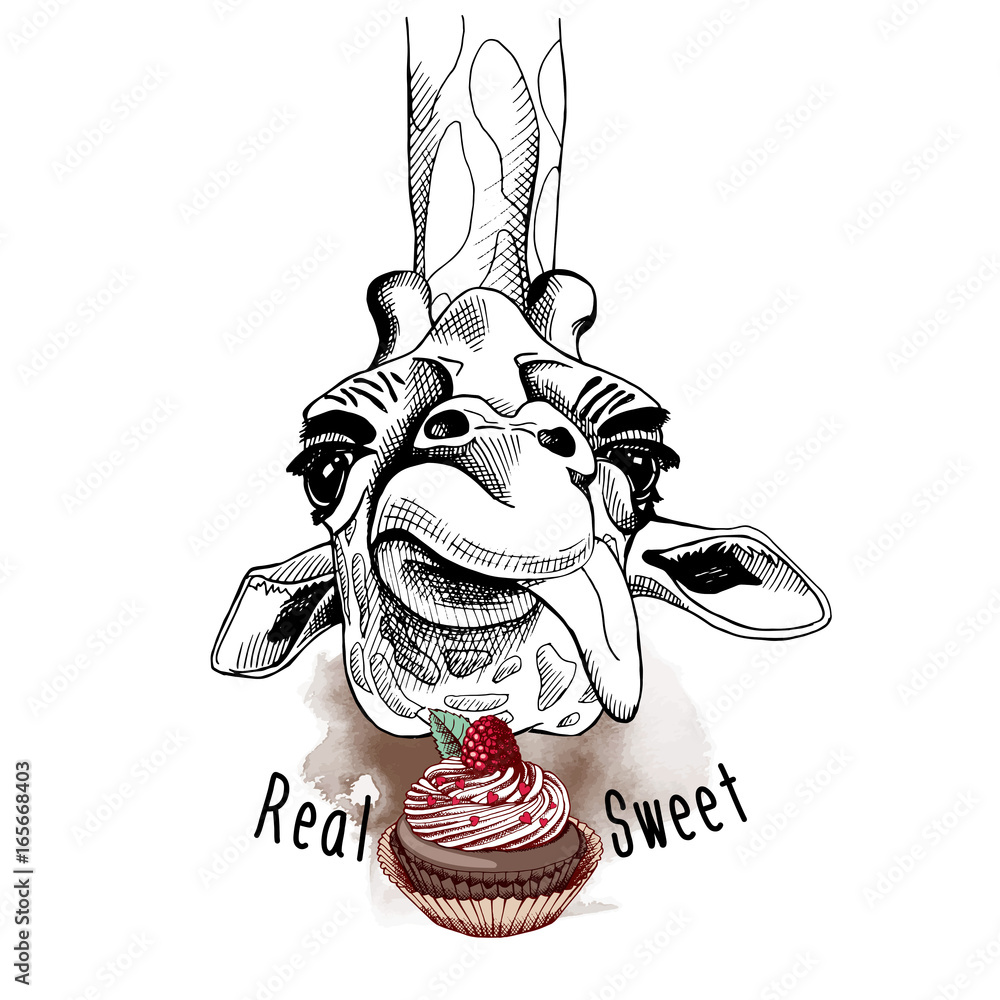 Naklejka premium Giraffe portrait with a cake. Vector illustration.