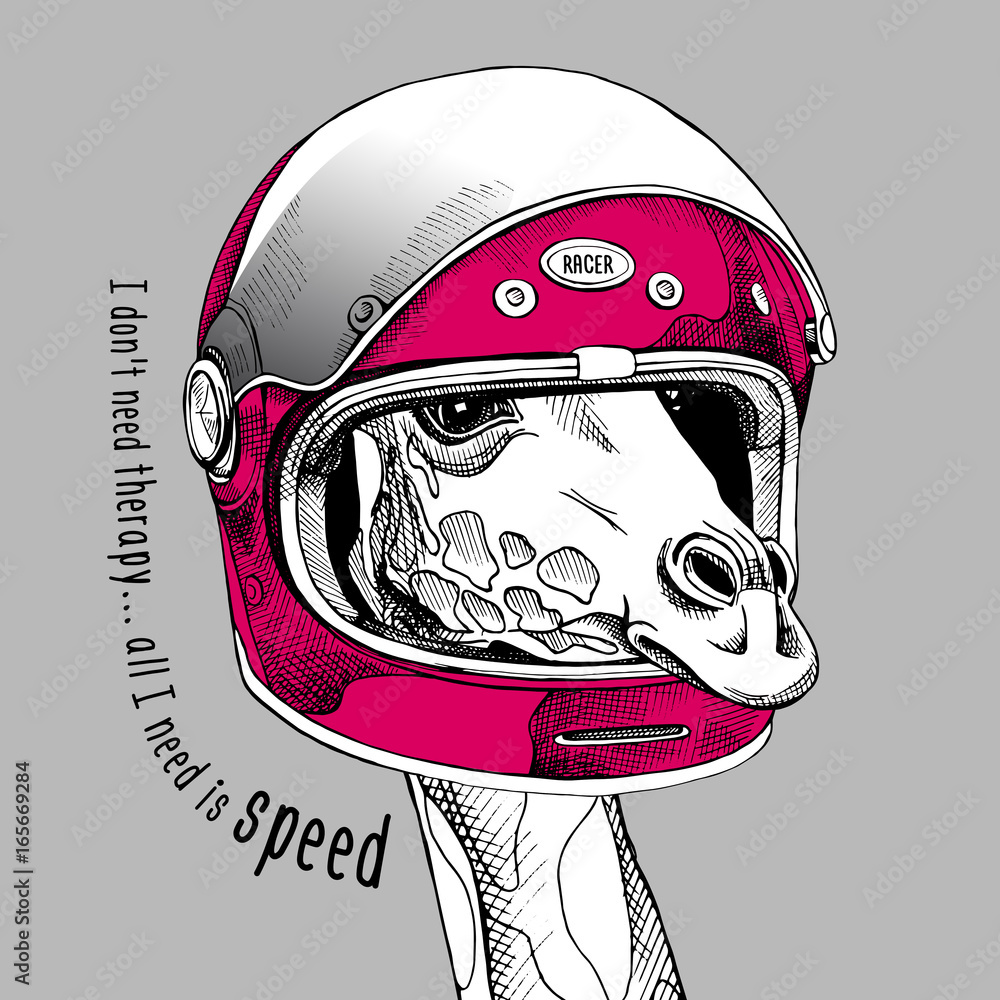 Fototapeta premium Giraffe portrait in a racer modern helmet. Vector illustration.