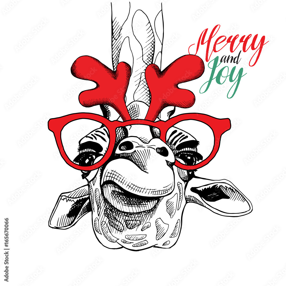 Naklejka premium Christmas card. Giraffe in a party mask (red glasses and antlers). Vector illustration.