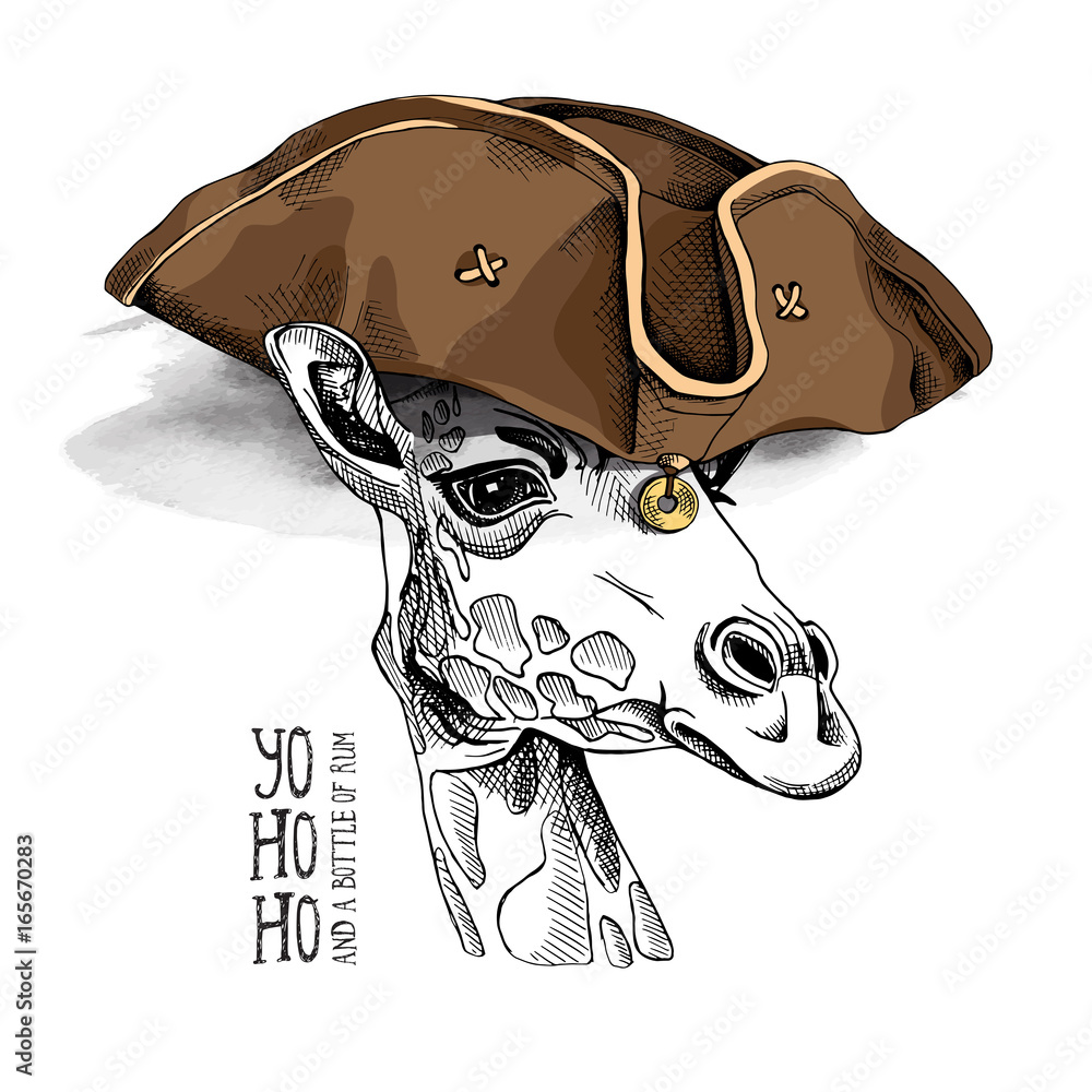 Fototapeta premium Żyrafa w skórzanym kapeluszu pirata. Ilustracji wektorowych.