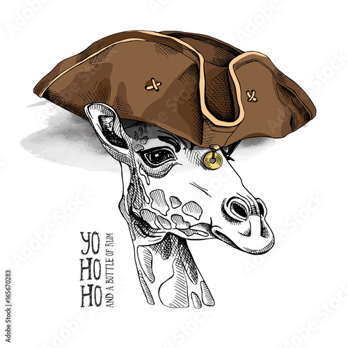 Giraffe in a Leather Pirate hat. Vector illustration.