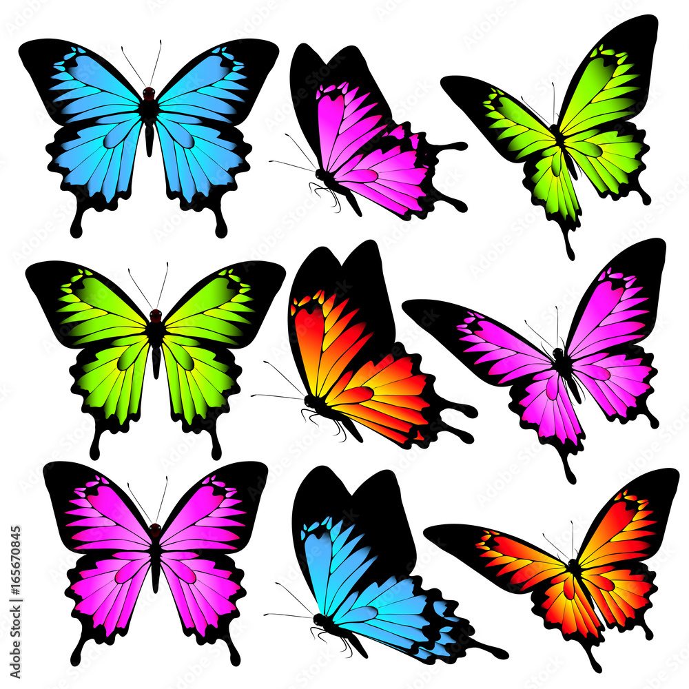 beautiful color butterflies,set, isolated on a white beautiful color butterflies,set, isolated on a white