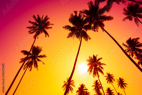 Palm trees at vivid tropical beach sunset