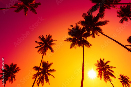 Tropical sunset © nevodka.com