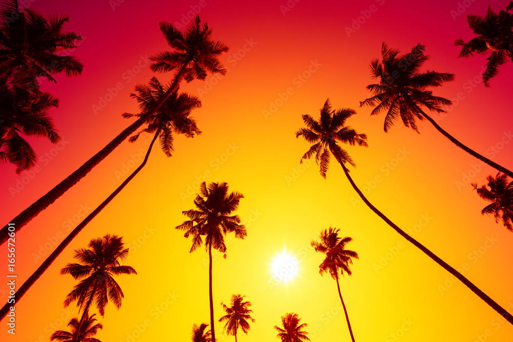 Palm trees at vivid hot tropical beach sunset with shiny sun