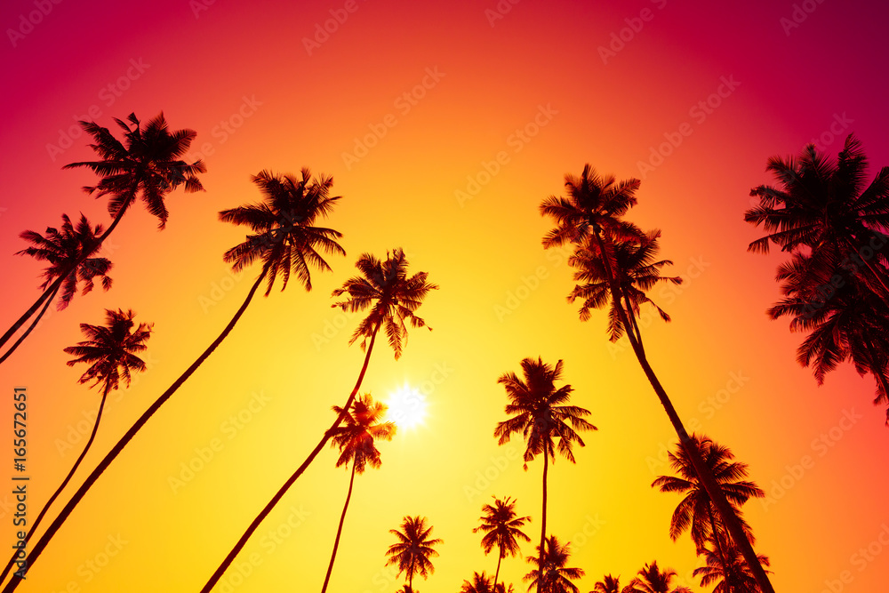 Sunset on tropical island beach with palm trees silhouettes