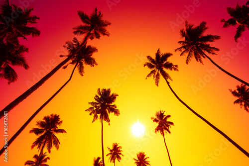 Palm trees at vivid hot tropical beach sunset with shiny sun