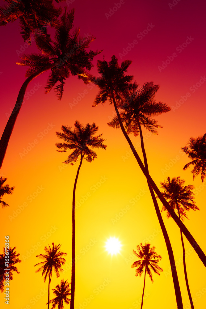 Palm trees silhouettes at vivid warm tropical sunset