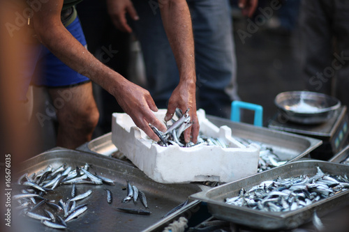 The seller in the fish market prepares for sale fresh anchovies photo