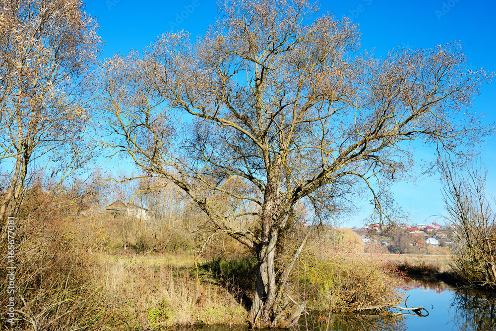 A view of the blue water flow and vegetation in the countryside.