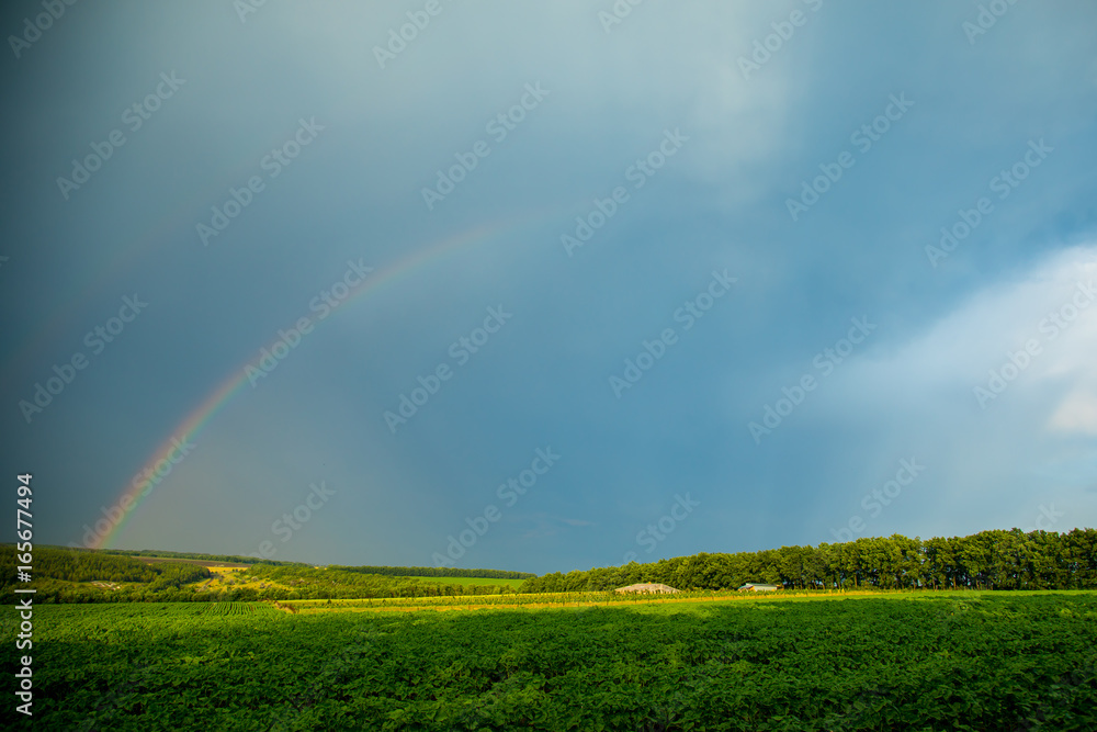 Beautiful summer landscape. Rainbow in the sky. A bright sunny day. Beautiful summer landscape. Rainbow in the sky. A bright sunny day.