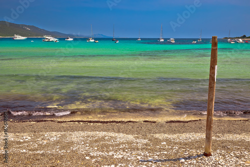 Sakarun turquoise beach on Dugi otok island photo