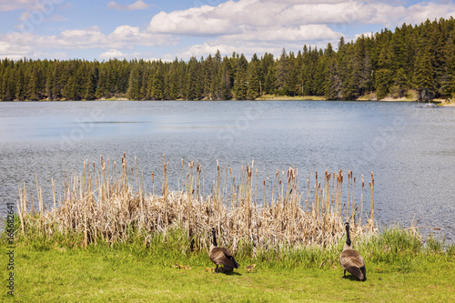 Grasslands National Park of Canada photo