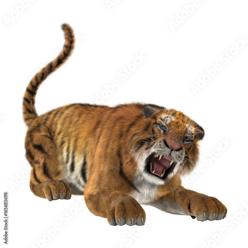 Fototapeta Naklejka Na Ścianę i Meble -  3D Rendering Big Cat Tiger on White